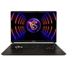 Ноутбук MSI Vector 16 HX (A13VHG-492PL): Экран 16" IPS (2400x1600)