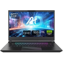 Ноутбук Gigabyte AORUS 15 BKG 2024 ( BKG-13KZ754SH) UA: Экран 15.6" IPS (2560x1440)