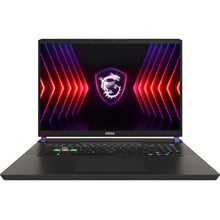 Ноутбук MSI Vector 17 HX (A13VIG-833PL): Екран 17" IPS (1920x1200)