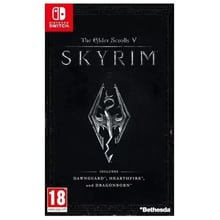 The Elder Scrolls V: Skyrim  (Nintendo Switch): Серія приставки Nintendo Switch