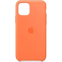 Чехол для iPhone TPU Silicone Case Vitamin C for iPhone 11 Pro: Цвет оранжевый