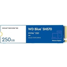 WD Blue SN570 250 GB (WDS250G3B0C): Тип накопичувача внутренний