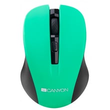 Мишка Canyon CNE-CMSW1GR: інтерфейс підключення Wireless