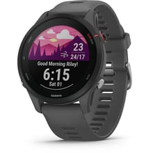 Смарт-часы Garmin Forerunner 255 Slate Gray (010-02641-10)