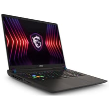 Ноутбук MSI Vector 17 HX A14V (A14VGG-253PL): Екран 17" IPS (2400x1600)