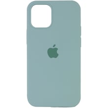 Аксесуар для iPhone Mobile Case Silicone Case Full Protective Turquoise для iPhone 13 Pro: Колір бирюзовый