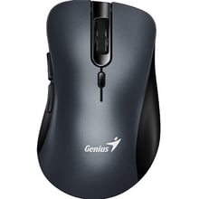 Мышь Genius Ergo 8100S (31030040401): Интерфейс подключения Wireless