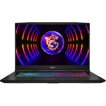 Ноутбук MSI Katana 17 B13V (B13VEK-1261XPL): Экран 17,3" (1920x1080) FullHD