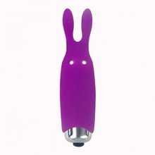 Мінівібратор Adrien Lastic Pocket Vibe Rabbit Purple: Для кого Для жінок