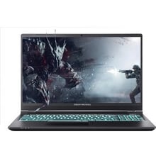 Ноутбук Dream Machines RS2080Q-15 (RS2080Q-15UA40) UA: Екран 15.6 "