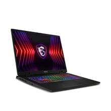 Ноутбук MSI Sword 17 HX B14V (B14VGKG-083XPL): Экран 17 " (2560x1600)