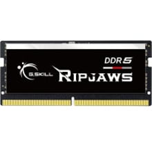 G.Skill 16 GB SO-DIMM DDR5 4800 MHz Ripjaws (F5-4800S4039A16GX1-RS): Тип DDR5