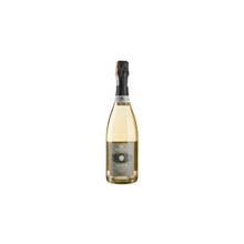 Игристое Soligo Col Fondo Sparkling Prosecco DOCG (0.75 л) 11.5% (BWQ7327): Объем, л 0.75