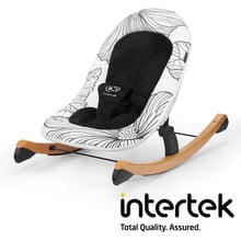 Шезлонг-гойдалка Kinderkraft Finio Black / White (KKBFINOBLK0000): Тип крісло качалка