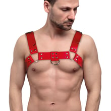 Мужская портупея на грудь из натуральной кожи Feral Feelings - Bulldog Harness Red: Для кого Для мужчин