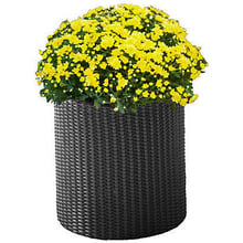 Горшок для цветов Keter Cylinder Planter M Серый (7290103668211): Производитель Keter