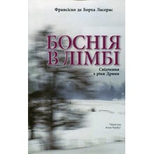 Франсіско де Борха Ласерас: Боснія у лімбі: Виробник ДІПА