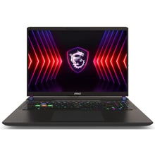 Ноутбук MSI Vector 16 HX A14V (A14VGG-296PL): Екран 16" IPS (2400x1600)