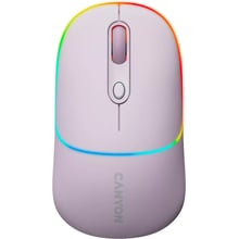 Мишка Canyon CNS-CMSW22PR: інтерфейс підключення Wireless