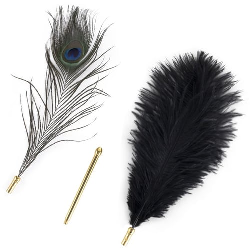 Набір пір'їнок для ласк LOCKINK Sevanda Natural Peacock Flirting Feather Tickler