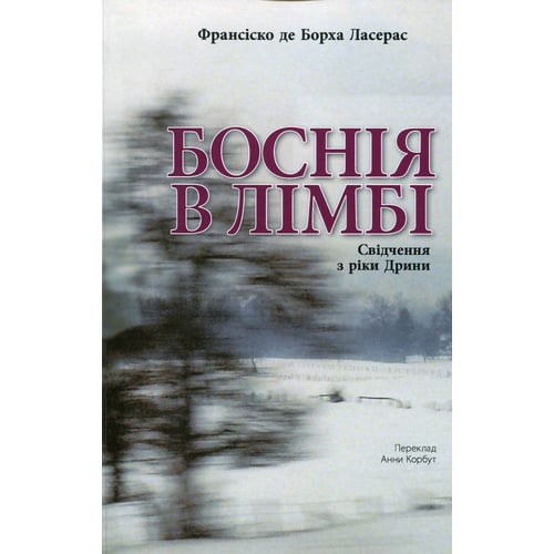 Франсіско де Борха Ласерас: Боснія у лімбі