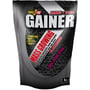 Гейнер Power Pro Gainer 1000 g /25 servings/ Лесная ягода: Форма выпуска Порошок