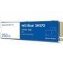 WD Blue SN570 250 GB (WDS250G3B0C): Интерфейс подключения M.2 (PCI-E 3.0)