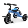 Велосипед трехколесный Turbotrike голубой (M 3648-4): Диаметр колес, дюймов 12