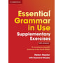 Essential Grammar in Use 4th Edition Supplementary Exercises with Answers