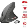 Мышь Trust Verto Wireless Ergonomic Mouse (22879): Количество кнопок 6