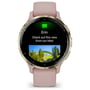 Смарт-годинник Garmin Venu 3S Soft Gold Stainless Steel Bezel with Dust Rose Case and Silicone Band (010-02785-03): Фітнес-функції Подсчет калорий, Альтиметр, GPS-модуль, Пульсоксиметр, Шагомер, Пульсометр