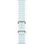 Apple Watch Ultra 2 GPS + Cellular 49mm Natural Titanium Case with Ice Blue Ocean Band UA: Розмір 49mm