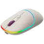 Мышь Canyon MW-22 Dual Band RGB Wireless Rice (CNS-CMSW22RC): Тип сенсора оптический