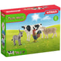 Набор фигурок Schleich Стартовый FARM WORLD Сельская жизнь (42385): Тип Набор игровых фигурок