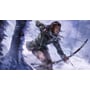 Rise of the Tomb Raider: 20 Year Celebration Edition (PS4) фото 5