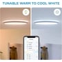 Умный потолочный светильник WiZ SuperSlim Ceiling, 16W, 1500lm, 29,2см, 2700-6500K, Wi-Fi, белый: Класс защиты IP20