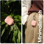 Чохол KeyBudz Elevate Series Keychain Blush Pink (AP3_S5_BPK) for Apple AirPods 3: Cумісність AirPods 3