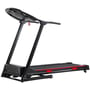 Беговая дорожка Беговая дорожка York Fitness T600PLUS (00014961511574): Максимальный вес пользователя, кг 110