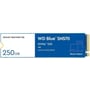 WD Blue SN570 250 GB (WDS250G3B0C)