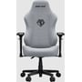 Кресло игровое Anda Seat Phantom 3 Pro Size L Grey Fabric (AD18YC-06-G-F) фото 2