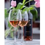 Вино Chizay Rosé Pinot Noir рожеве сухе 0.75 (CHZ4820001633481): Сорт винограду Pinot Noir