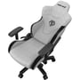 Ігрове крісло Anda Seat T-Pro 2 Grey/Black Size XL (AD12XLLA-01-GB-F)