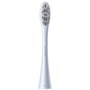 Насадки для зубної щітки Oclean P1C8 Plaque Control Brush Head Silver 2шт (6970810552812)