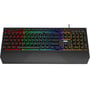 Клавиатура AOC GK200 Gaming Rainbow LED USB (GK200D32R): Тип клавиатуры игровая