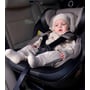 Автокресло Carrello Asteroid Space Black 0-36 кг (CRL-12801/2 Space Black): Крепление Isofix есть, ISOFIX Top Tether