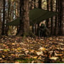 Аксесуар для намету Тент Highlander Tarp Shelter HMTC (MA125-HC): Габарити 300х285 см