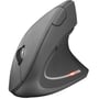 Мишка Trust Verto Wireless Ergonomic Mouse (22879)