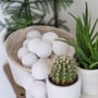 Гірлянда Cotton ball lights на 10 куль 2,7м, White: Застосування Для будинку