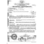 Набір ПОЛІССЯ №349: відро мале з носиком, ситечко-квітка, совок №2, грабельки №2, 2 формочки, лійка мала № (4917): Виробник ПОЛІССЯ