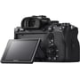 Sony Alpha A7R IVA body: Размер матрицы 35.7x23.8 мм